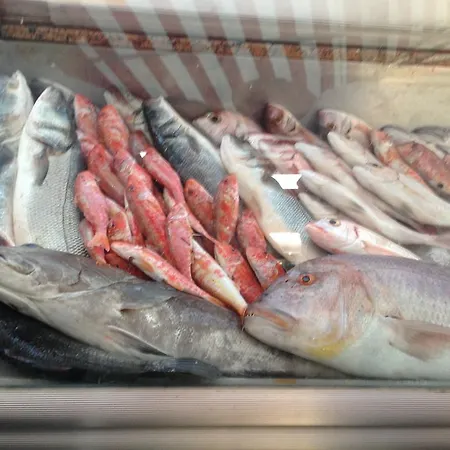 Bay Nihat Lale Ayvalı