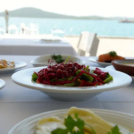 Alojamento de Acomodação e Pequeno-almoço Bay Nihat Lale Ayvalı