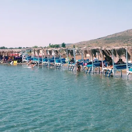 Bay Nihat Lale Ayvalı